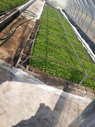 정동욱님의 작성글 사진