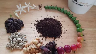 화성커피식물원님의 기타작물 · 자유게시판 작성글 사진