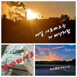 팜모닝 기타작물·자유게시판 게시글 이미지