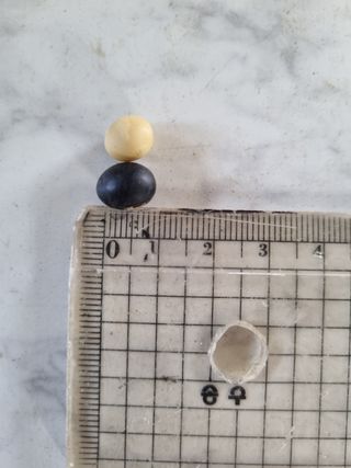 이기환님의 콩 · 자유게시판 작성글 사진