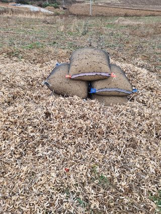 이기환님의 콩 · 자유게시판 작성글 사진