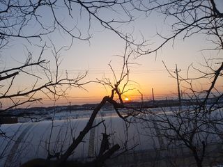 알 수 없음님의 기타작물 · 자유게시판 작성글 사진