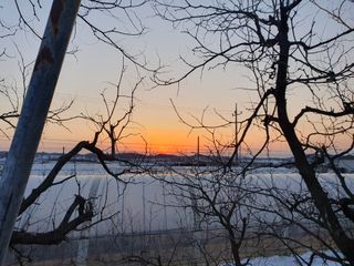 알 수 없음님의 기타작물 · 자유게시판 작성글 사진