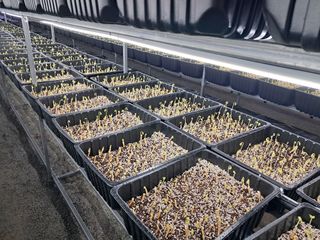 박홍수 님의 기타작물 · 자유게시판 작성글 사진