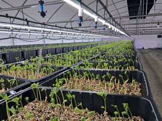 박홍수 님의 기타작물 · 자유게시판 작성글 사진