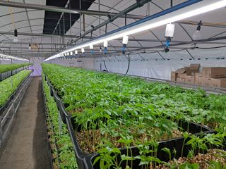 박홍수 님의 기타작물 · 자유게시판 작성글 사진