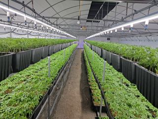 박홍수 님의 기타작물 · 자유게시판 작성글 사진