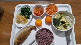 SOUL님의 콩 · 자유게시판 작성글 사진