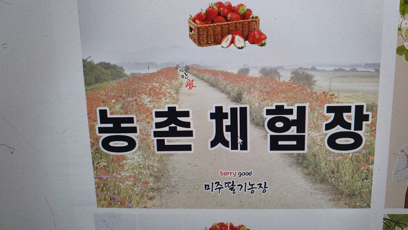 장터 상품 [딸기수확체험] 썸네일