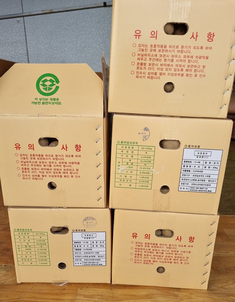 장터 상품 [수미감자 종자씨팝니다.] 썸네일