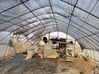 최기태님의 기타작물 · 자유게시판 작성글 사진