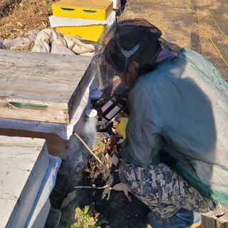봉선이네봉장 님의 기타작물 · 자유게시판 작성글 사진