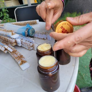 봉선이네봉장 님의 기타작물 · 자유게시판 작성글 사진