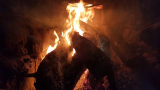 김용석님의 콩 · 자유게시판 작성글 사진