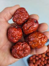 팜모닝 · 게시글 이미지