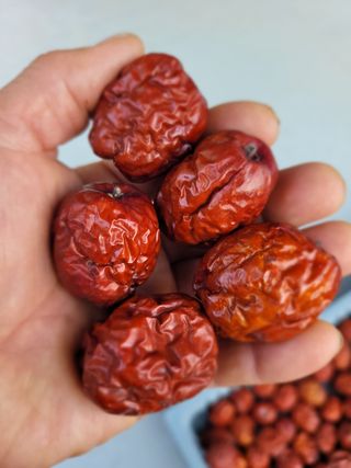 홍상옥님의 작성글 사진