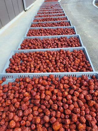 홍상옥님의 작성글 사진