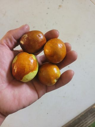 홍상옥님의 작성글 사진