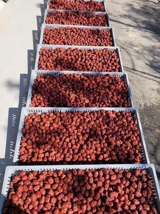 홍상옥님의 작성글 사진