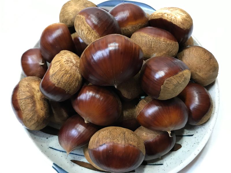 신연희님의 장터 판매 상품 [[판매완료] 토종알밤 4Kg] 첨부 사진