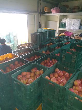 조순자님의 작성글 사진