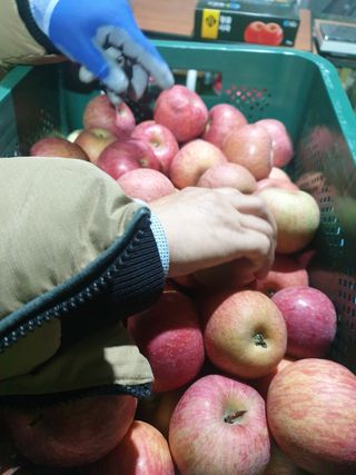 조순자님의 작성글 사진