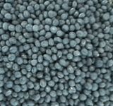 팜모닝 콩·자유게시판 게시글 이미지