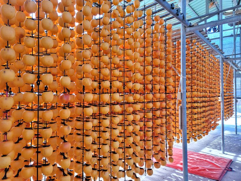 장터 상품 [상주곶감 자연건조(건시/반건시)] 썸네일