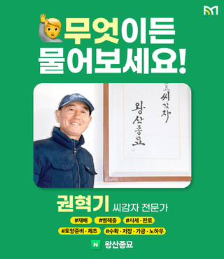 감자 농사도우미님의 감자·농사길잡이 작성글 사진