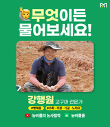 팜모닝 고구마·농사길잡이 게시글 이미지