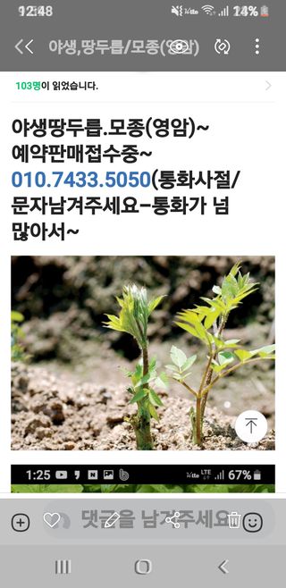 오왕건님의 두릅 · 품종•종자 작성글 사진