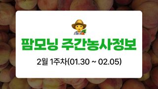 복숭아 농사도우미님의 복숭아·농사길잡이 작성글 사진