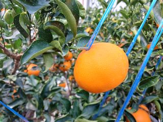 강창민님의 작성글 사진