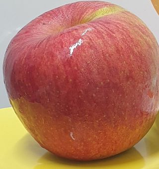 호랑이와인성이님의 사과 · 저장•가공 작성글 사진