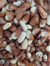 팜모닝 기타작물·자유게시판 게시글 이미지