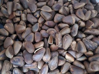 약초꾼님의 기타작물 · 자유게시판 작성글 사진