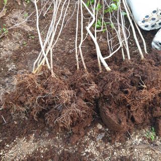 양복연님의 작성글 사진