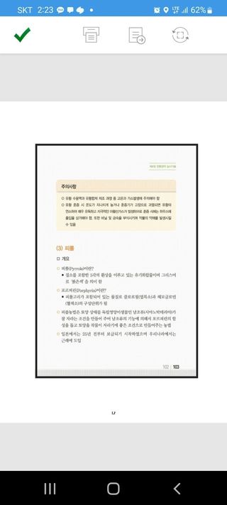 피롤땅지기님의 기타작물 · 자유게시판 작성글 사진