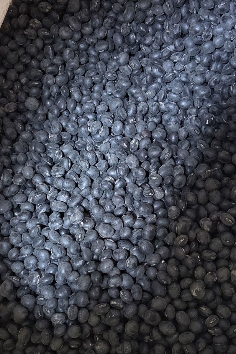 장터 상품 [서리태] 썸네일