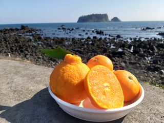 강창민님의 작성글 사진