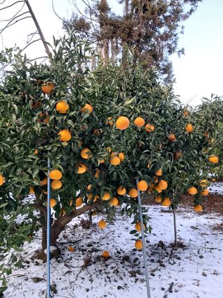 강창민님의 작성글 사진