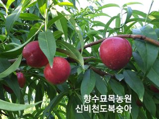 신가은님의 작성글 사진
