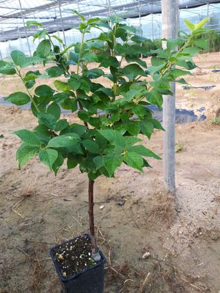 신가은님의 작성글 사진