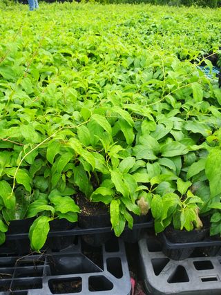 신가은님의 작성글 사진