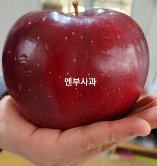 신가은님의 작성글 사진