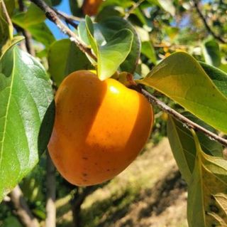 신가은님의 작성글 사진