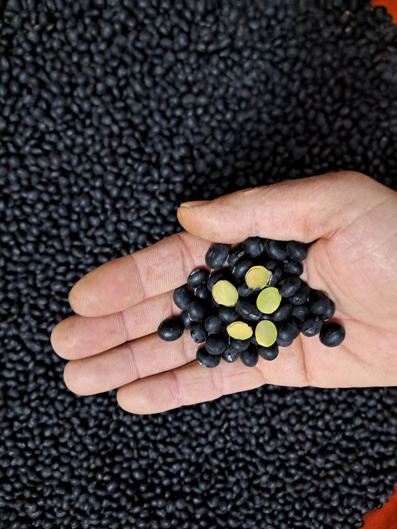 장터 상품 [서리태 ] 썸네일