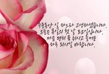 팜모닝 하우스정보·자유게시판 게시글 이미지