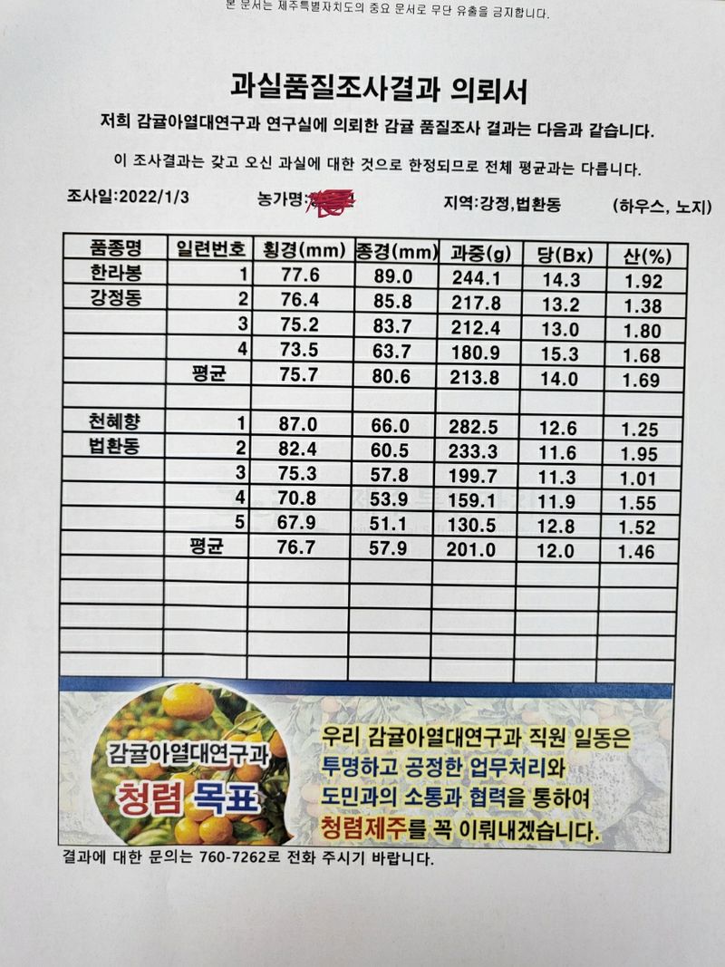 강창민님의 장터 판매 상품 [노지 한라봉  5키로] 첨부 사진