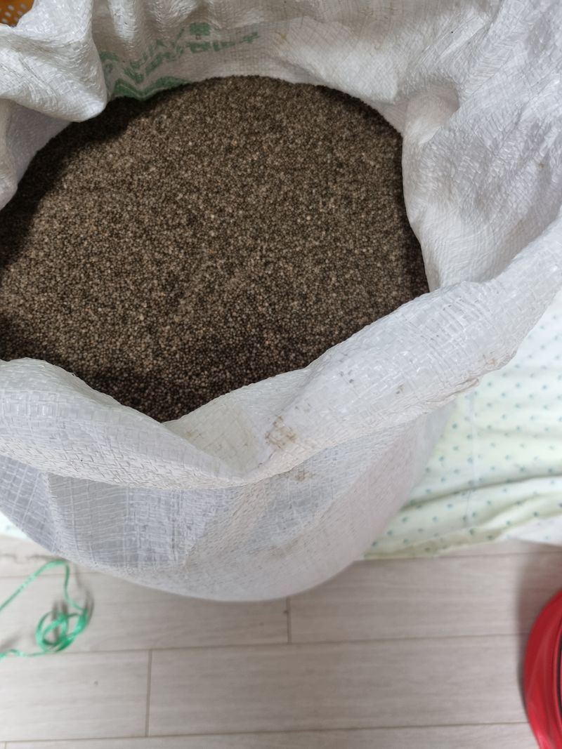 최기동님의 장터 판매 상품 [토종들깨  1kg 16,000원입니다.] 첨부 사진